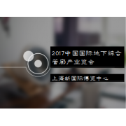 展会经济与信息咨询服务 赋能企业全球化布局新引擎