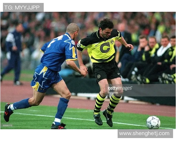 足球明星专属球鞋的市场价分析及各大品牌的价格对比