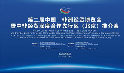中非经贸博览会最新消息 深化合作共赢的新篇章